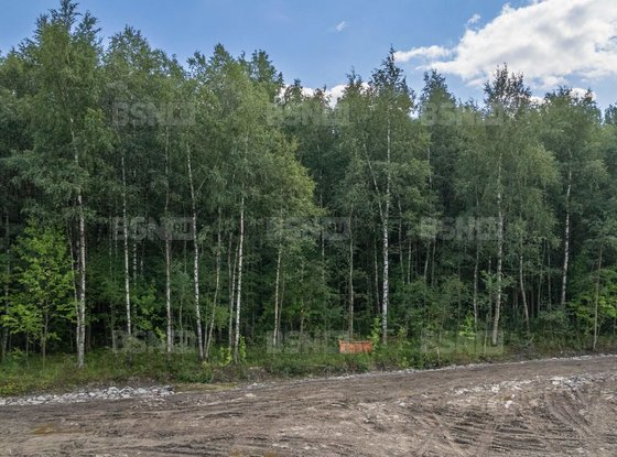 Продажа участка - деревня Заневка, Заневка д