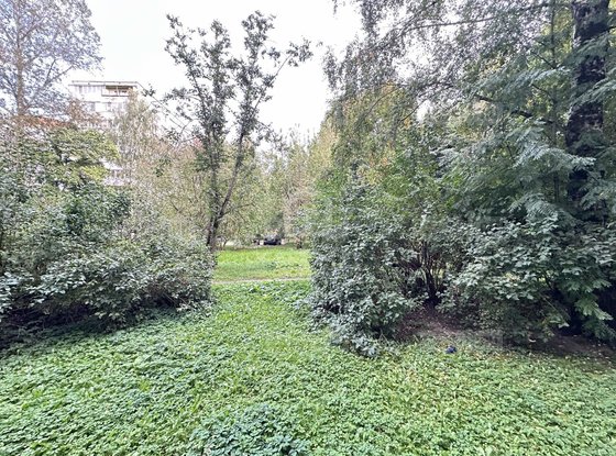Продажа трехкомнатной квартиры - Софьи Ковалевской улица, д.16, корп.3