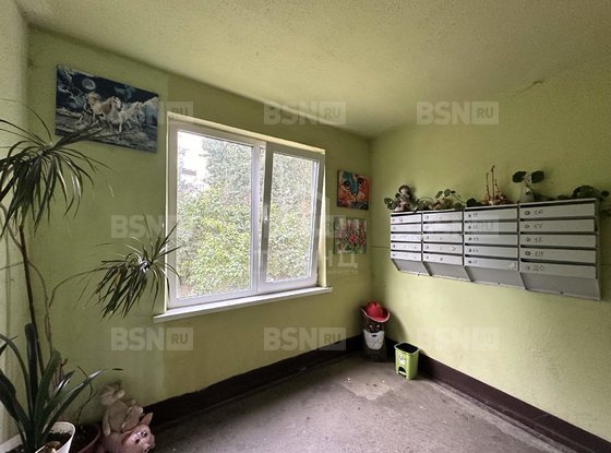 Продажа однокомнатной квартиры - поселок Шушары, Школьная улица, д.30