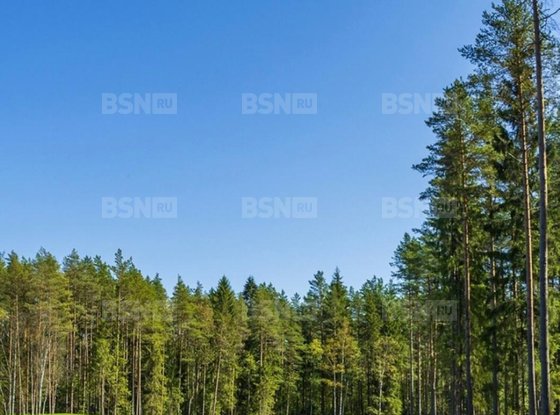 Продажа дома - деревня Мистолово, Парковая улица, д.8