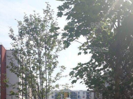 Продажа однокомнатной квартиры - Будённого проспект, д.23, корп.1 стр 1