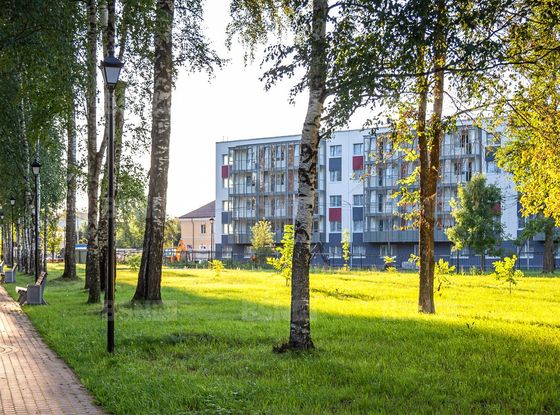 Продажа однокомнатной квартиры в новостройке - городской поселок Дубровка, Невская улица, д.2