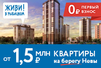 Квартиры с отделкой с видом на Неву
