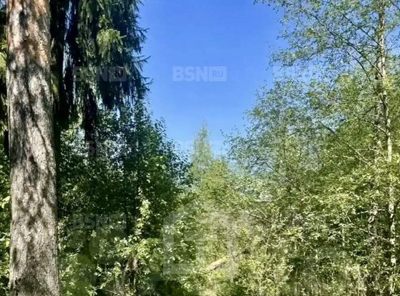 Продажа участка - Всеволожск, Пушкинская улица