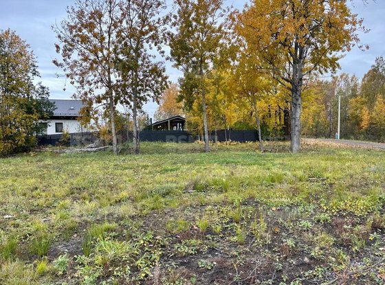Продажа участка - Всеволожский район, Массив Скотное территория