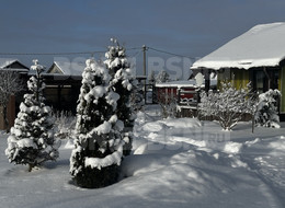 Продажа дачи - Ленинградская область, Кировский район, Горка д.
