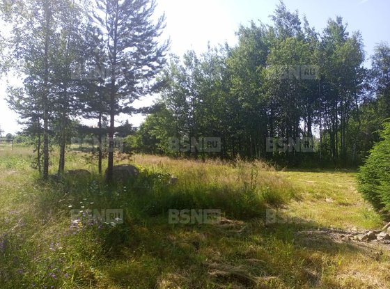 Продажа участка - деревня Светлое, Ленинградская ул