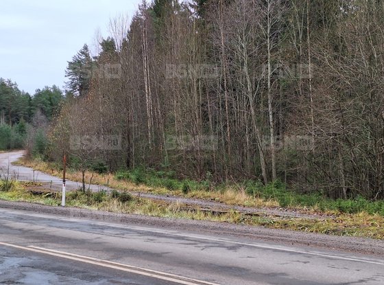 Продажа участка - поселок Шугозеро, Тихвинский переулок