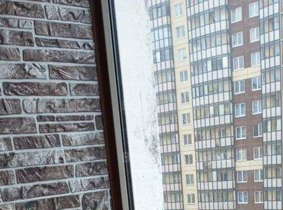 Продажа двухкомнатной квартиры - деревня Новое Девяткино, Флотская улица, д.8 