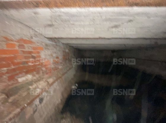 Продажа офиса - Вознесенский проспект, д.55, литера А 