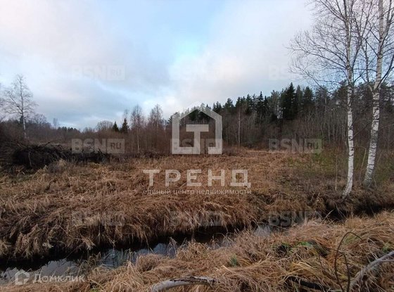 Продажа участка - Ленинградская область, Бригантина-2(Кобрино) территория снт