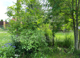 Продажа дачи - Ленинградская область, Гатчинский район, Надежда тер. СНТ, д.64