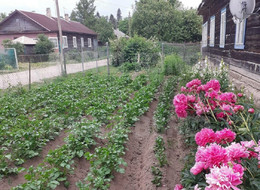 Продажа части дома - Лесная ул., 15