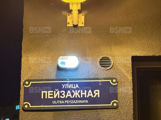 Аренда однокомнатной квартиры - Пейзажная улица, д.24, корп.3ст1 