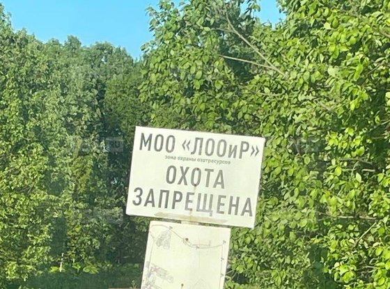 Продажа участка - деревня Заостровье, Труда улица