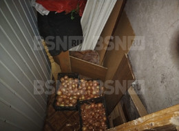 Продажа трехкомнатной квартиры - Ленинградская область, Гатчинский район, Новый Свет п., д.46 