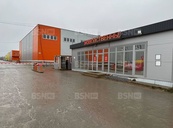 Аренда производственно-складского помещения - деревня Малое Карлино, Малое Карлино д, д.24 