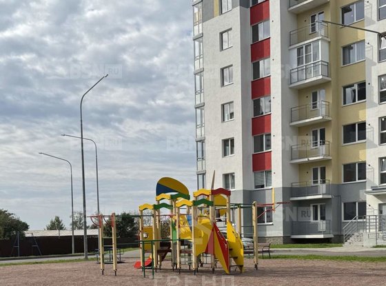 Продажа однокомнатной квартиры - деревня Янино-2, Рябиновая улица, д.30 