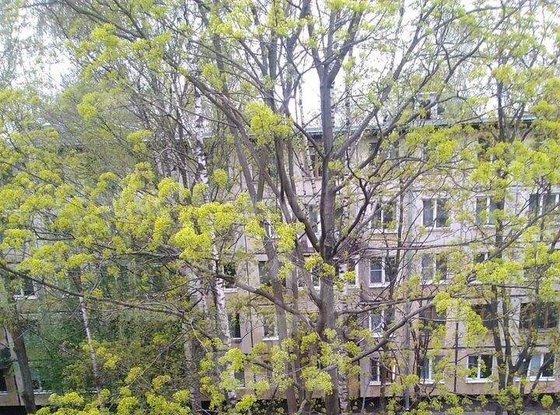 Продажа двухкомнатной квартиры - Новоизмайловский проспект, д.17 