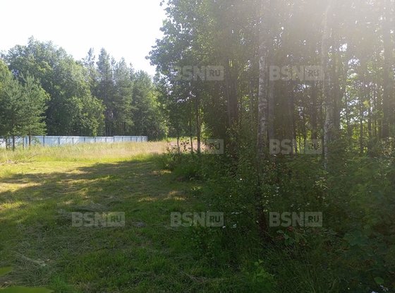 Продажа участка - деревня Светлое, Ленинградская ул