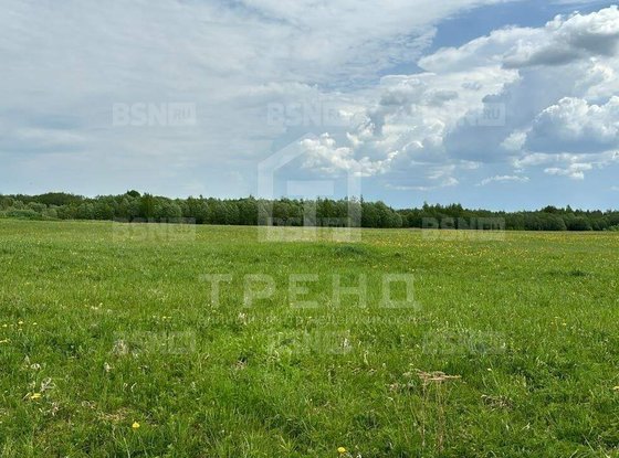 Продажа участка - Ленинградская область