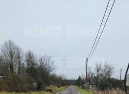 Продажа земельного участка - Ленинградская область, Волосовский район, Горки д., д.5 