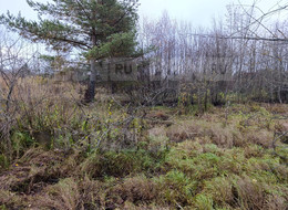 Продажа земельного участка - Ленинградская область, Гатчинский район, Вайя д., Железнодорожная ул. 