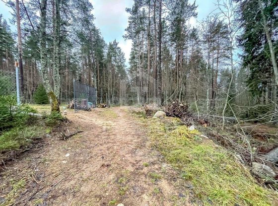 Продажа участка - городской поселок Рощино, Молодёжная улица