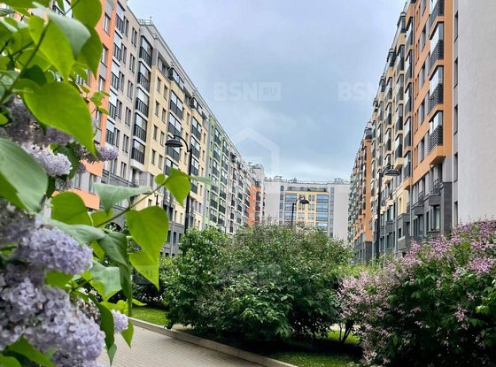 Продажа однокомнатной квартиры - 27-я В.О. линия, д.6, корп.2 