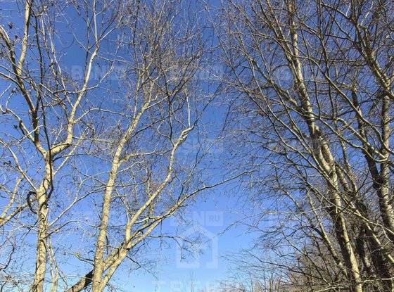 Продажа участка - Ивангород, Госпитальная улица