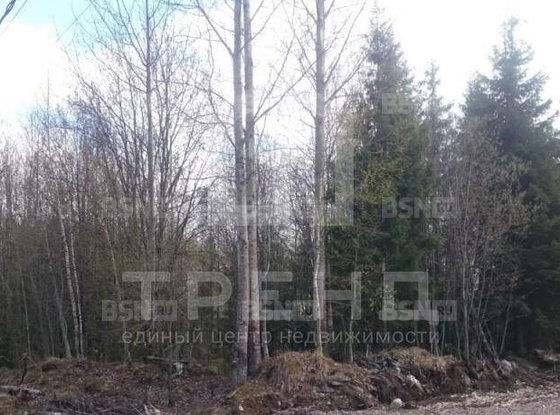 Продажа участка - Сертолово, Кронштадтская улица