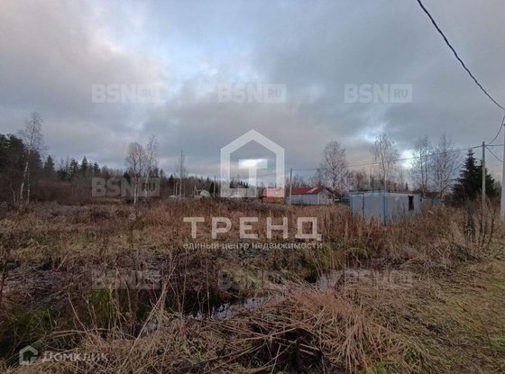Продажа участка - Ленинградская область, Бригантина-2(Кобрино) территория снт