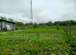 Продажа земельного участка - Ленинградская область, Волосовский район, Молосковицы (Каложицкое с/п) п. 