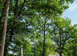 Продажа встроенного помещения - Юты Бондаровской, 13, к 1 литера А 