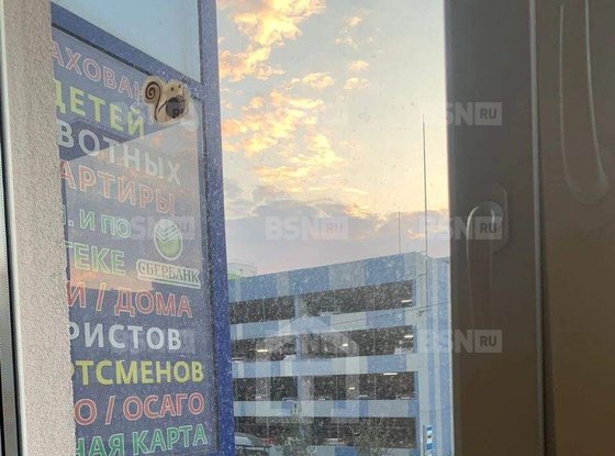 Продажа трехкомнатной квартиры - городской поселок Янино-1, Ясная улица, д.11 