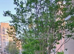 Продажа двухкомнатной квартиры - Гоголя ул., 2 