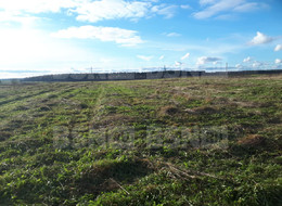 Продажа земельного участка - Ленинградская область, Гатчинский район, Большое Рейзино д. 