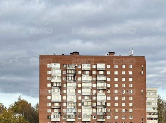 Продажа трехкомнатной квартиры - Луначарского проспект, д.112/2 