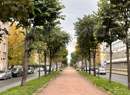 Продажа двухкомнатной квартиры - Санкт-Петербург, Василеостровский район, 16-я В.О. линия, д.65 