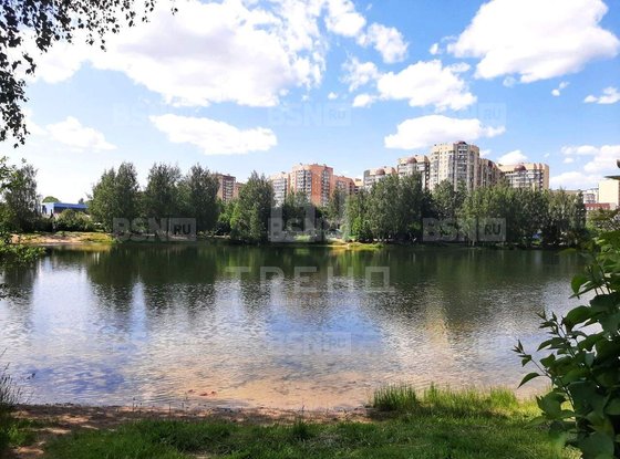 Продажа однокомнатной квартиры - деревня Новое Девяткино, Арсенальная улица, д.2 