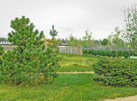 Продажа участка - коттеджный поселок Оазис Парк Репинское, Оазис Парк Репинское кп