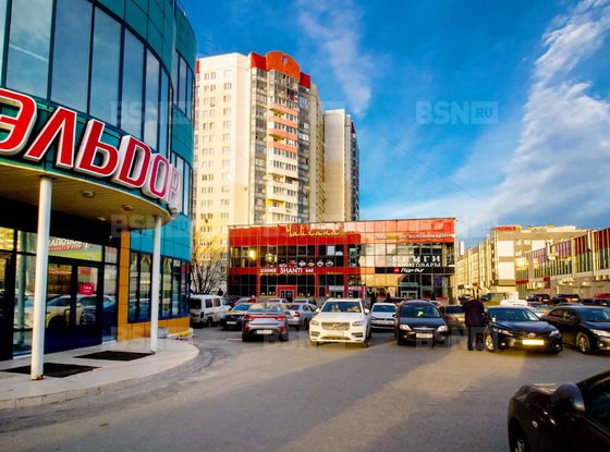 Аренда универсального помещения - Косыгина проспект, д.24, корп.2 