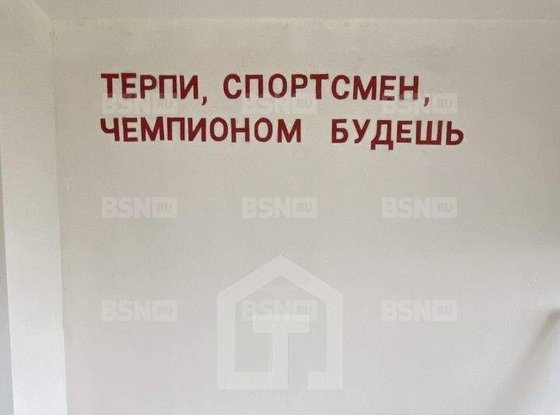 Продажа однокомнатной квартиры - поселок Парголово, Толубеевский проезд, д.24 