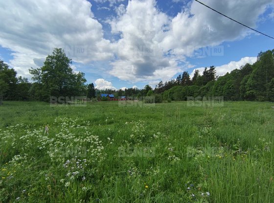 Продажа участка - деревня Хвойное, Хвойное д