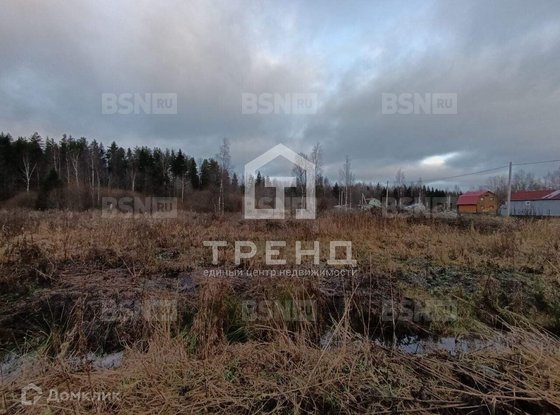 Продажа участка - Ленинградская область, Бригантина-2(Кобрино) территория снт
