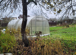 Продажа земельного участка - Ленинградская область, Гатчинский район, Родник тер. СНТ 