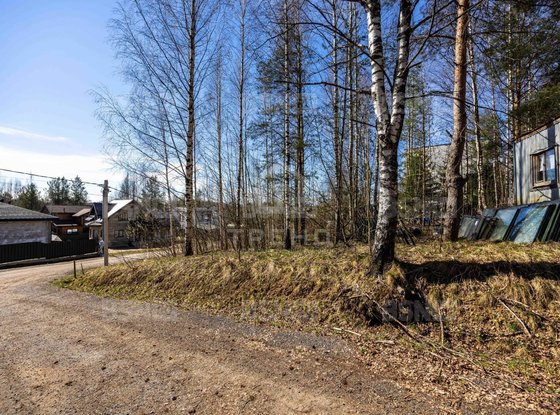 Продажа участка - деревня Скотное, Светлая улица