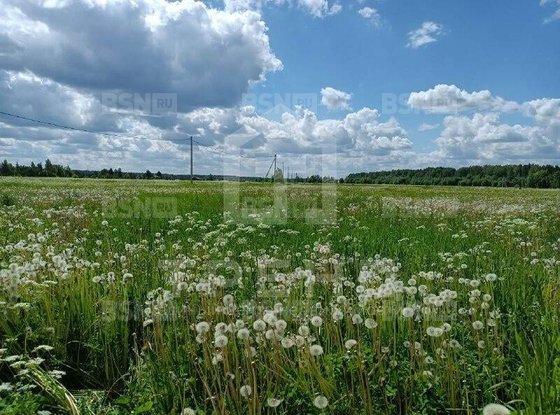 Продажа участка - деревня Сойкино, Сойкино д