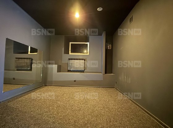 Аренда универсального помещения - Невский проспект, д.88, литера А 