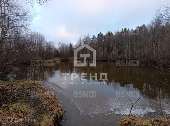 Продажа участка - Ленинградская область, Бригантина-2(Кобрино) территория снт